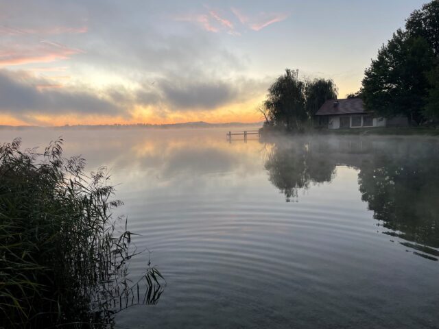 Nebelmorgen